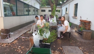 Un jardín para mariposas