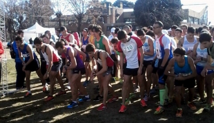 Cross-Country Colegio Ward