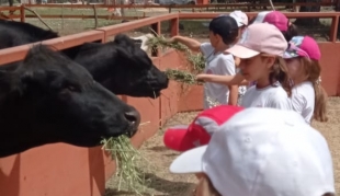 Visita a la granja