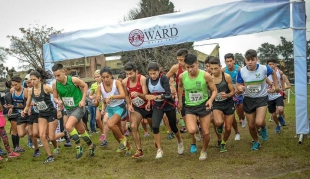 Cross Ward 2018