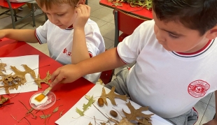 Descubriendo el otoño